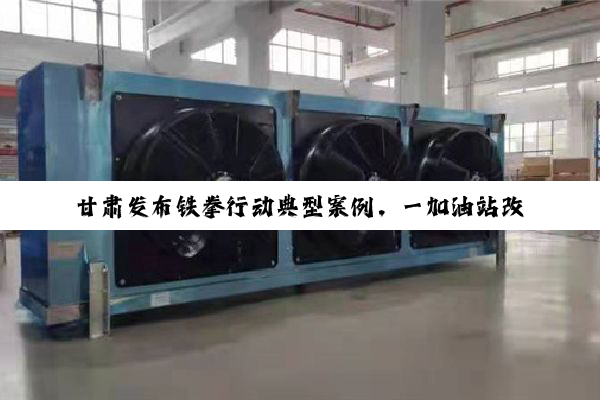 甘肃发布铁拳行动典型案例，一加油站改动加油机计量器被罚