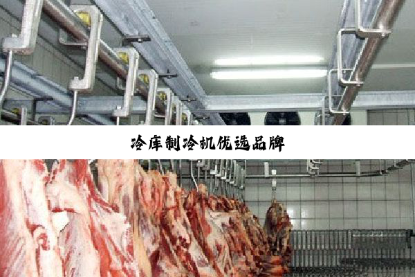 今日科普|冷库制冷机优选品牌