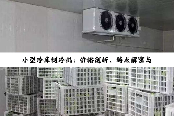 小型冷库制冷机：价格剖析、特点解密与投资指南