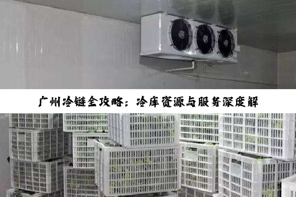广州冷链全攻略：冷库资源与服务深度解析