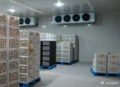 杭州晴雪制冷设备全国果蔬冷库定制建设技术解析