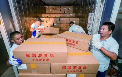 智能化冷库赋能，固城湖深加工虾畅销外省