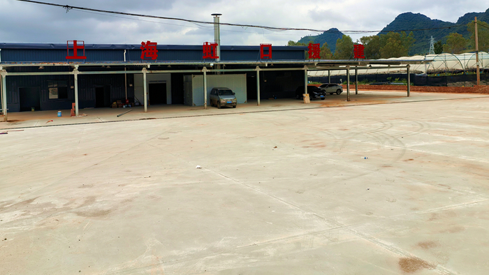 沪滇协作结硕果丨丘北县锦屏镇1800亩蓝莓基地有了“致富冷库”